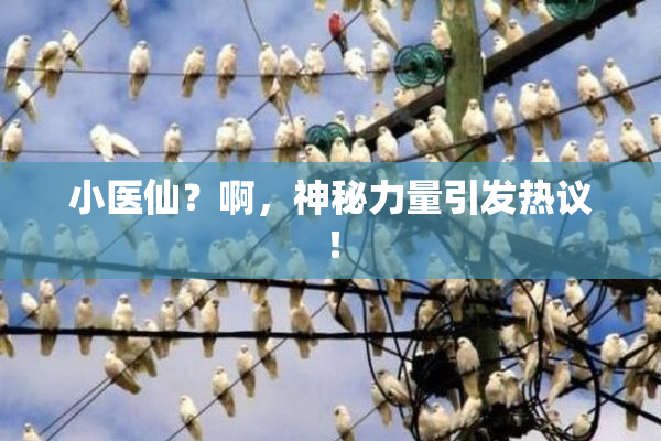 小医仙？啊，神秘力量引发热议！