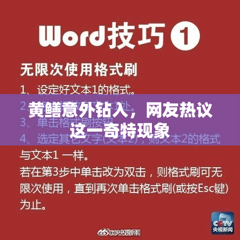黄鳝意外钻入，网友热议这一奇特现象