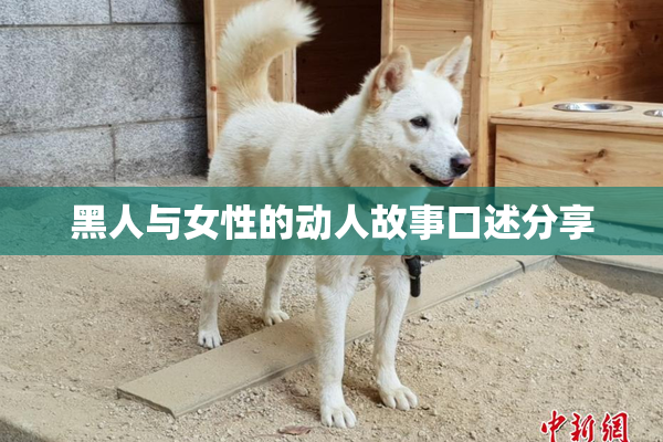 黑人与女性的动人故事口述分享