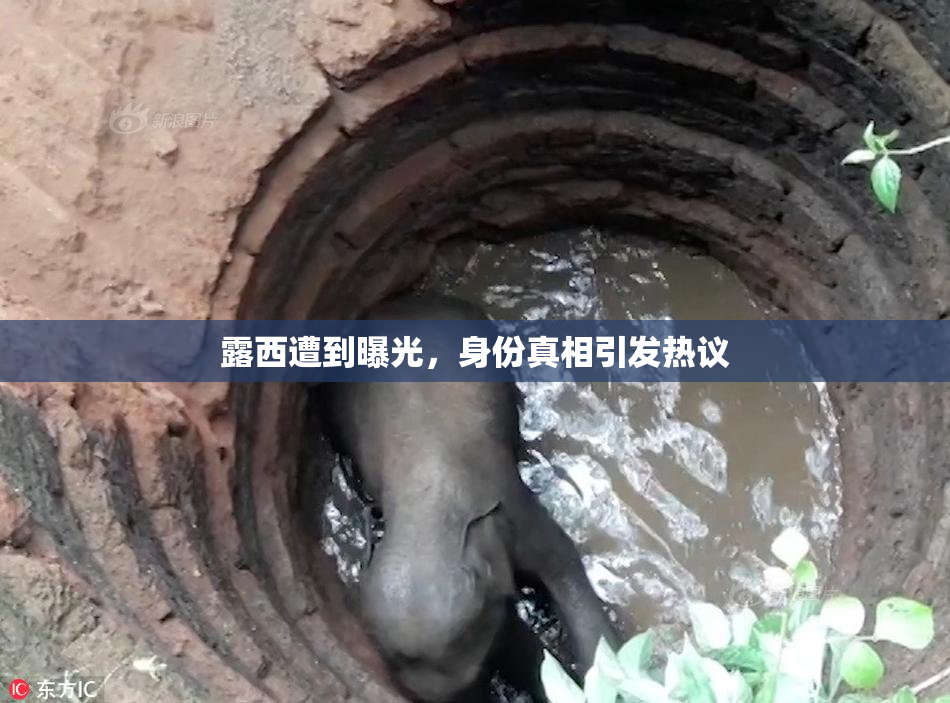 露西遭到曝光，身份真相引发热议
