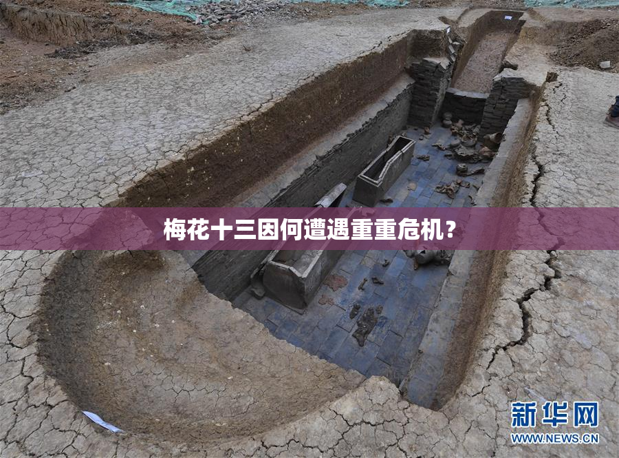 梅花十三因何遭遇重重危机？