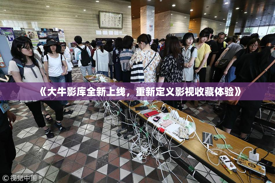 《大牛影库全新上线，重新定义影视收藏体验》
