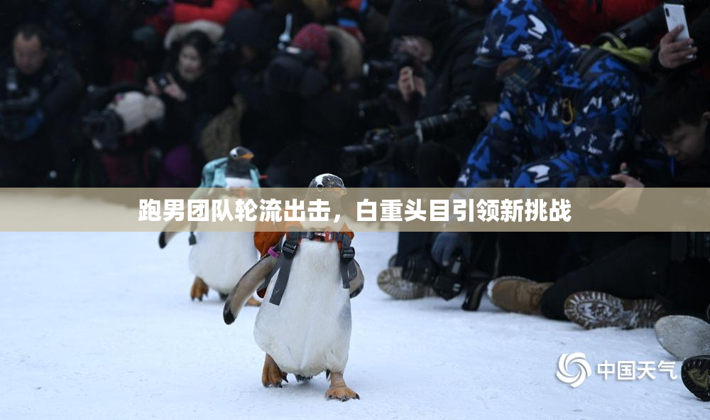 跑男团队轮流出击，白重头目引领新挑战
