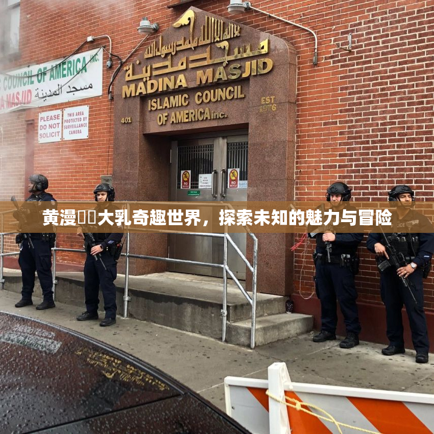 黄漫❌‌大乳奇趣世界，探索未知的魅力与冒险