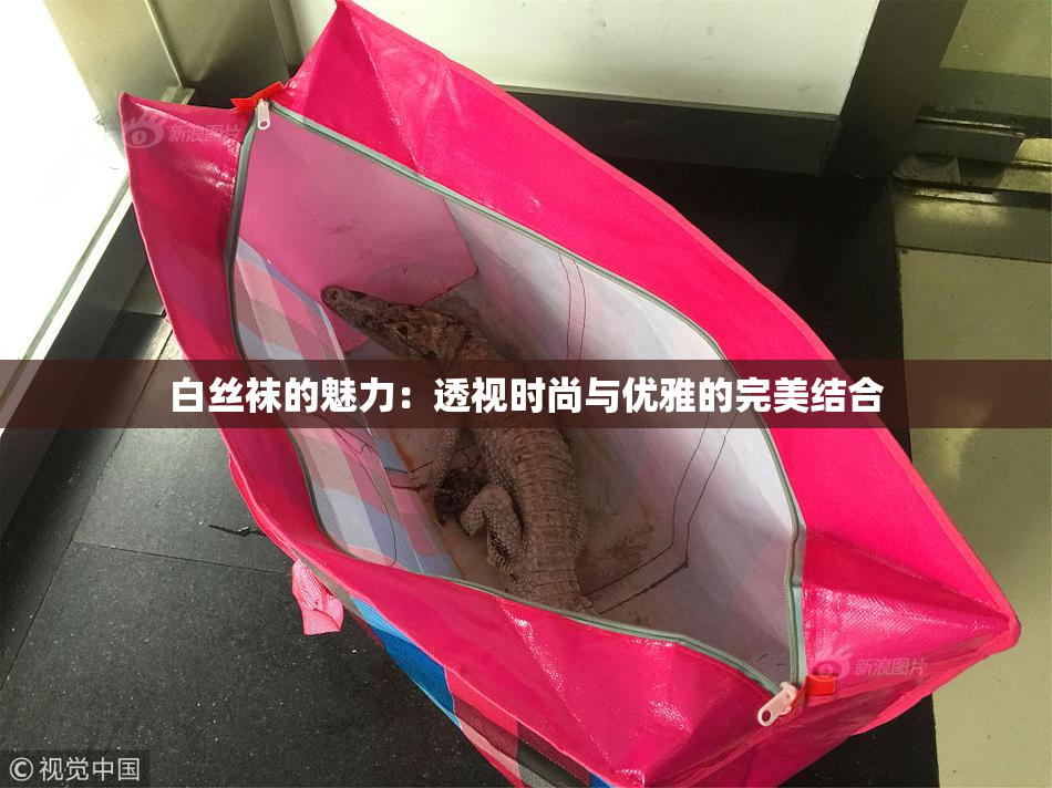 白丝袜的魅力：透视时尚与优雅的完美结合