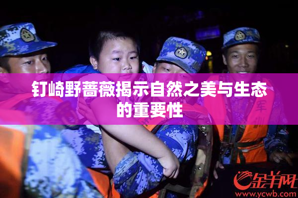 钉崎野蔷薇揭示自然之美与生态的重要性