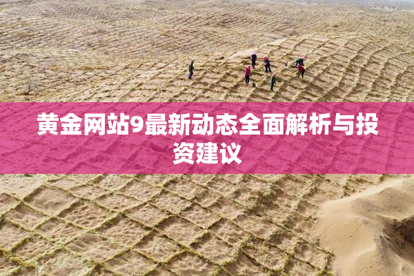 黄金网站9最新动态全面解析与投资建议