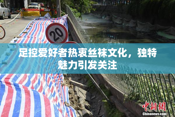 足控爱好者热衷丝袜文化，独特魅力引发关注