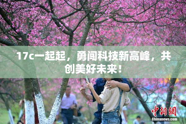 17c一起起，勇闯科技新高峰，共创美好未来！