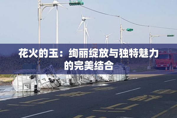 花火的玉：绚丽绽放与独特魅力的完美结合
