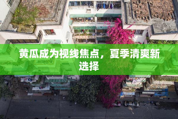 黄瓜成为视线焦点，夏季清爽新选择