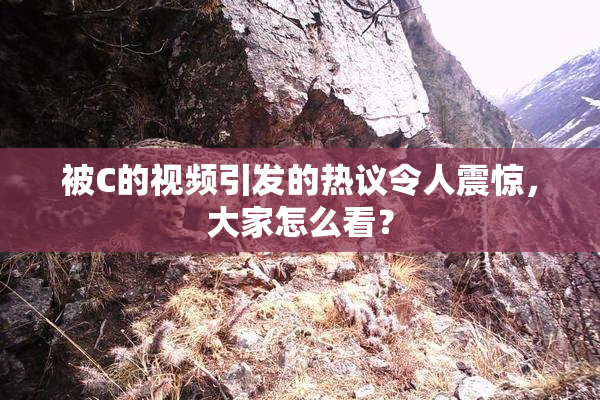 被C的视频引发的热议令人震惊，大家怎么看？