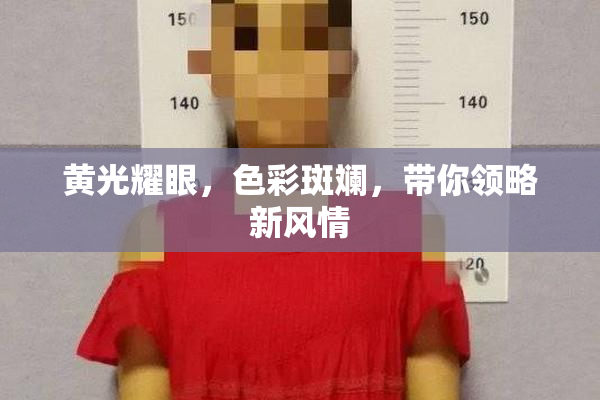 黄光耀眼，色彩斑斓，带你领略新风情