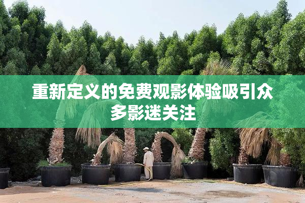 重新定义的免费观影体验吸引众多影迷关注