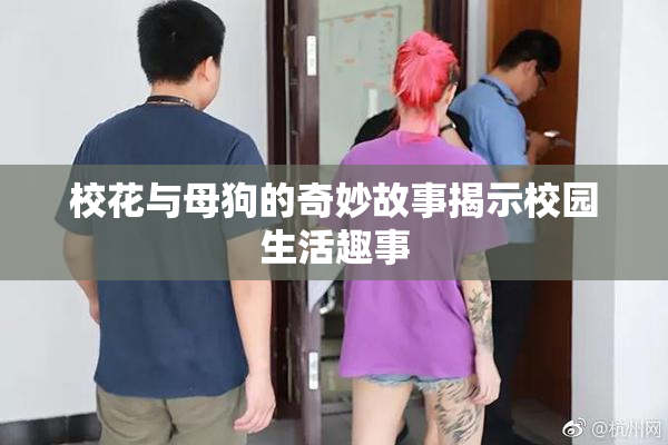校花与母狗的奇妙故事揭示校园生活趣事