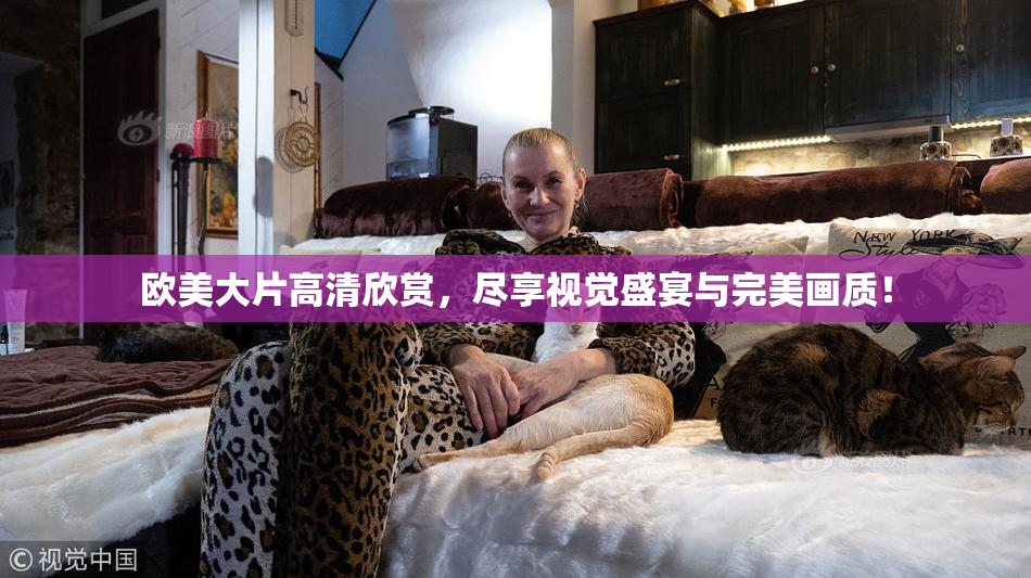 欧美大片高清欣赏，尽享视觉盛宴与完美画质！