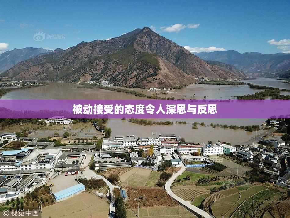 被动接受的态度令人深思与反思