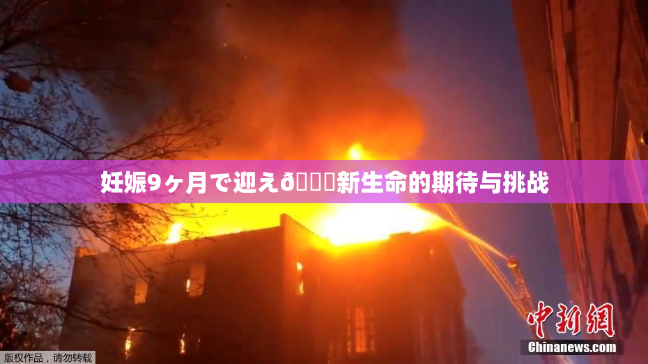 妊娠9ヶ月で迎え🌃新生命的期待与挑战