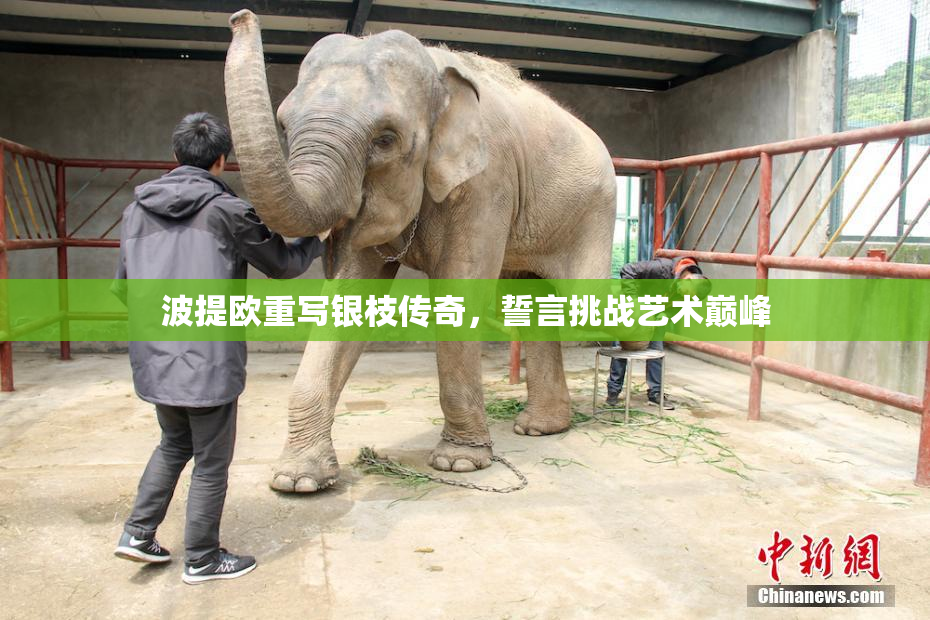 波提欧重写银枝传奇，誓言挑战艺术巅峰