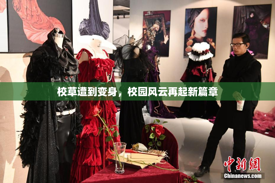 校草遭到变身，校园风云再起新篇章