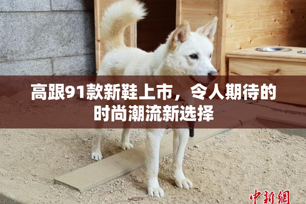 高跟91款新鞋上市，令人期待的时尚潮流新选择