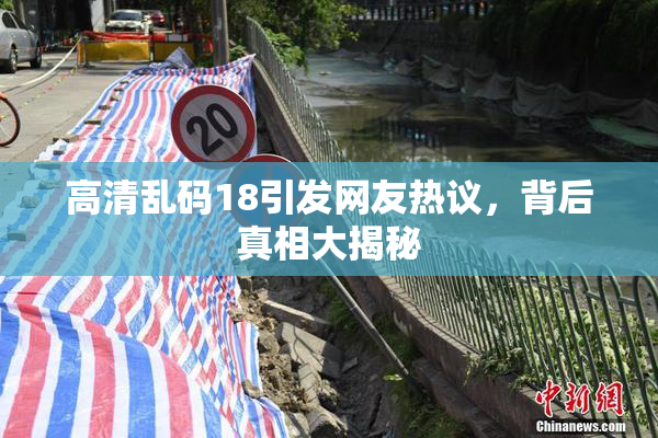 高清乱码18引发网友热议，背后真相大揭秘