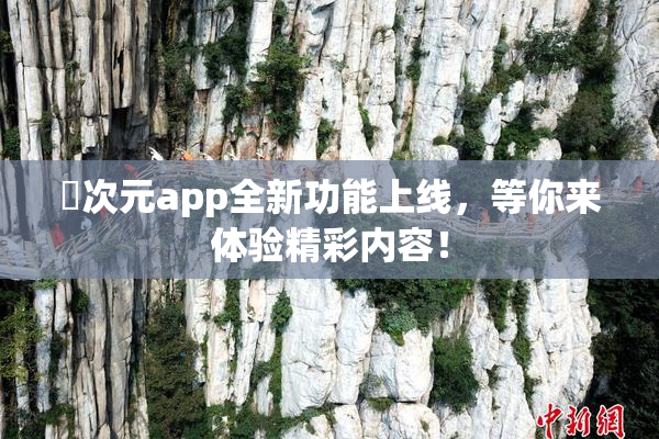 囧次元app全新功能上线，等你来体验精彩内容！