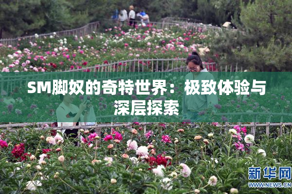 SM脚奴的奇特世界：极致体验与深层探索