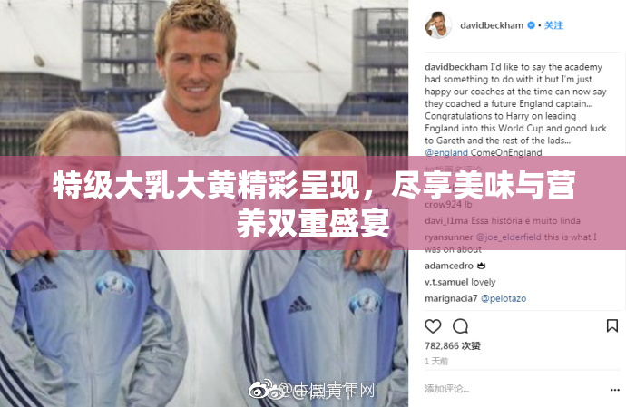 特级大乳大黄精彩呈现，尽享美味与营养双重盛宴