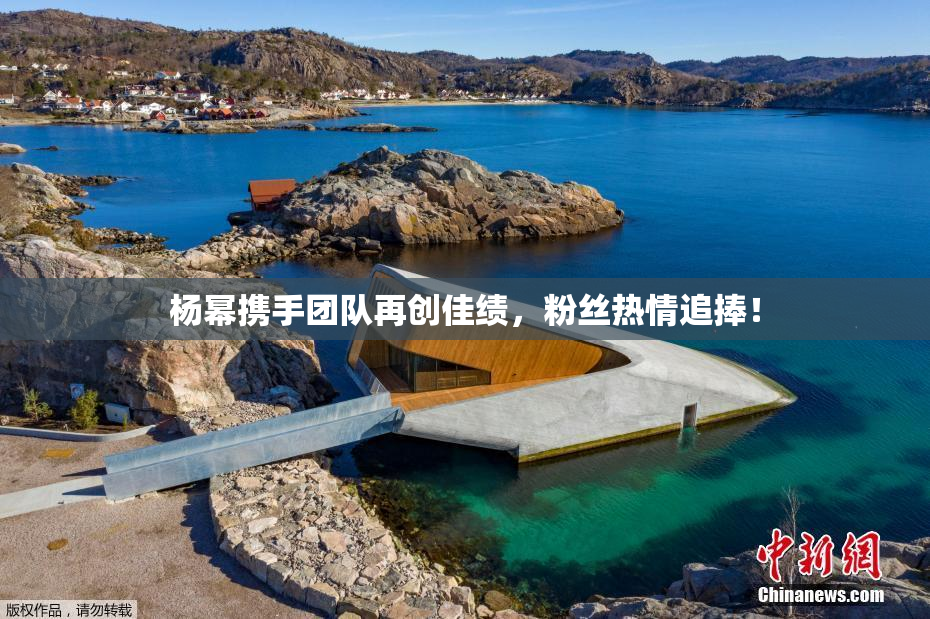 杨幂携手团队再创佳绩，粉丝热情追捧！