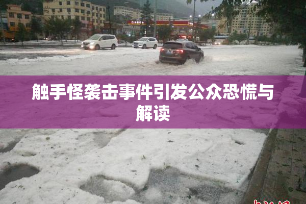 触手怪袭击事件引发公众恐慌与解读