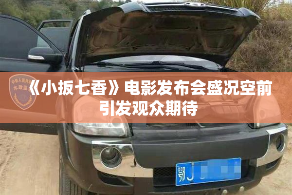 《小扳七香》电影发布会盛况空前 引发观众期待