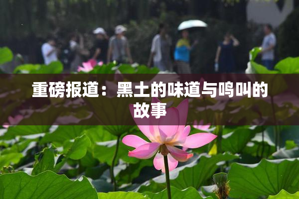 重磅报道：黑土的味道与鸣叫的故事