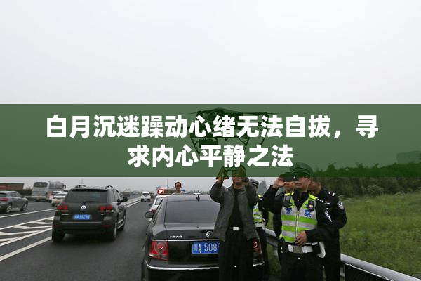 白月沉迷躁动心绪无法自拔，寻求内心平静之法