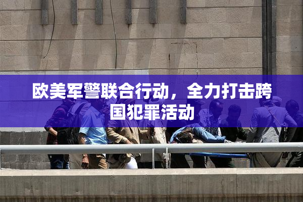 欧美军警联合行动，全力打击跨国犯罪活动