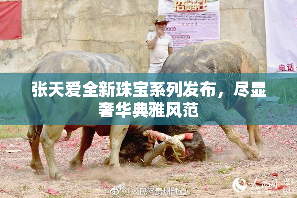 张天爱全新珠宝系列发布，尽显奢华典雅风范