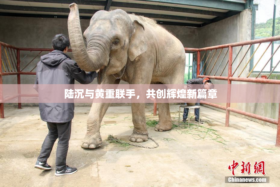 陆沉与黄重联手，共创辉煌新篇章