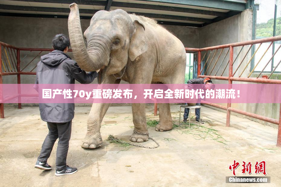 国产性70y重磅发布，开启全新时代的潮流！