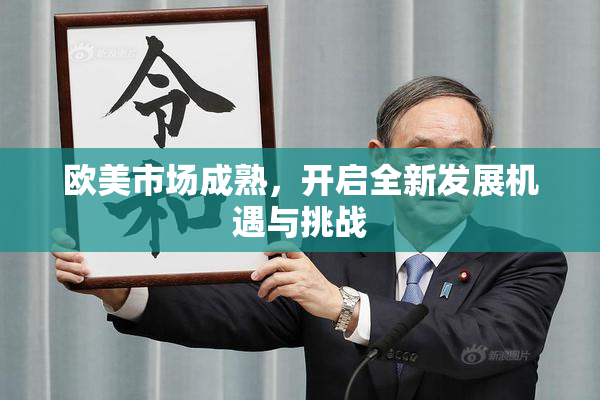 欧美市场成熟，开启全新发展机遇与挑战
