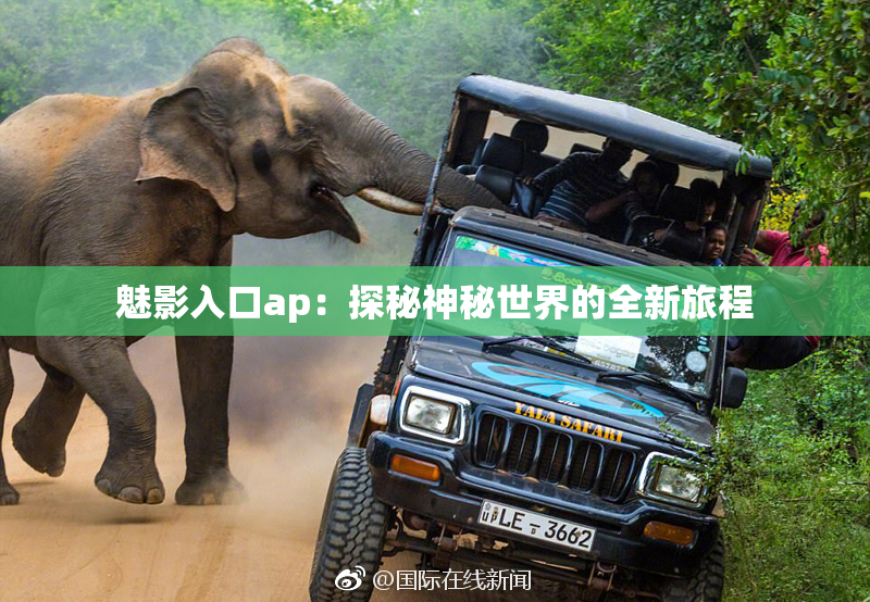 魅影入口ap：探秘神秘世界的全新旅程