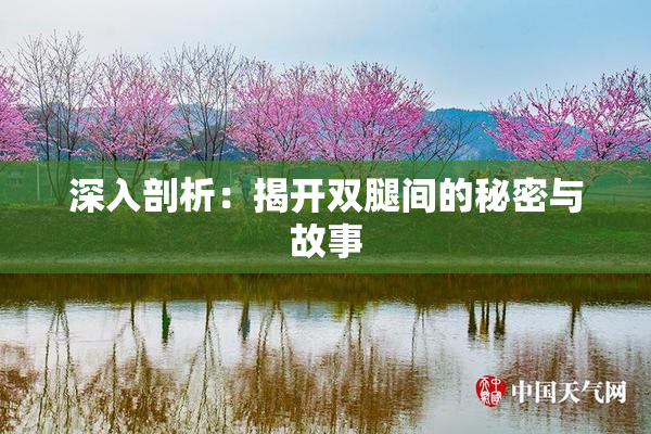 深入剖析：揭开双腿间的秘密与故事