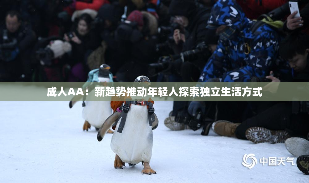成人AA：新趋势推动年轻人探索独立生活方式