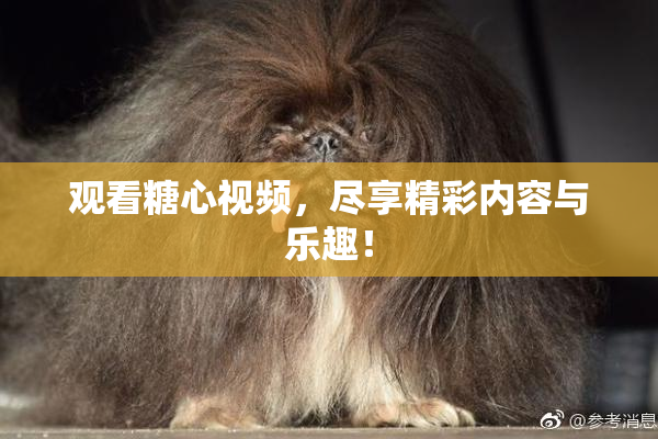 观看糖心视频，尽享精彩内容与乐趣！