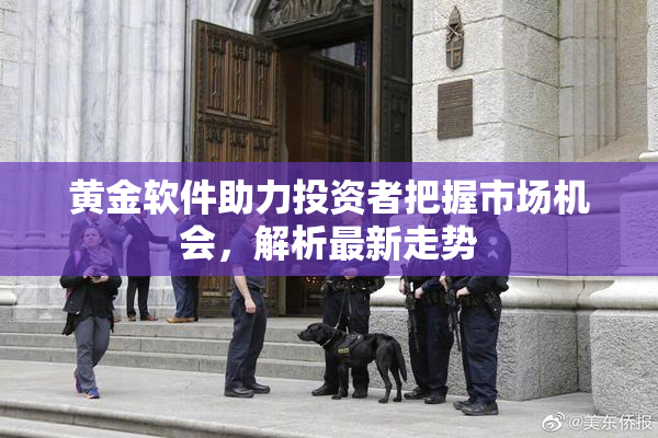 黄金软件助力投资者把握市场机会，解析最新走势