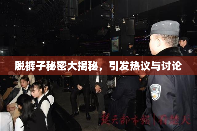 脱裤子秘密大揭秘，引发热议与讨论