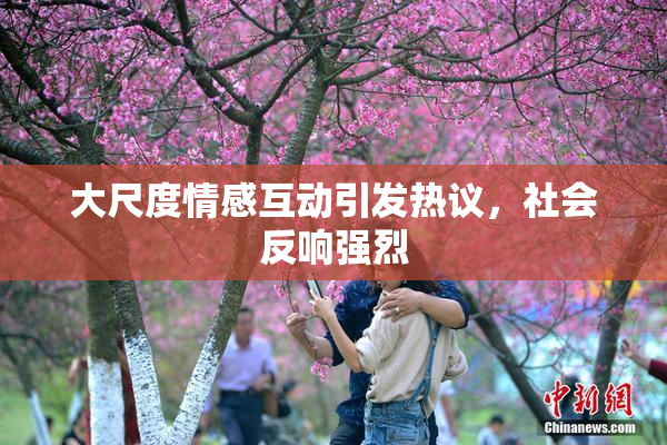 大尺度情感互动引发热议，社会反响强烈