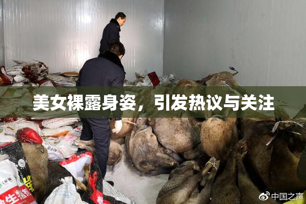 美女裸露身姿，引发热议与关注