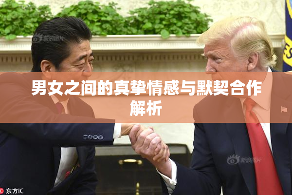 男女之间的真挚情感与默契合作解析