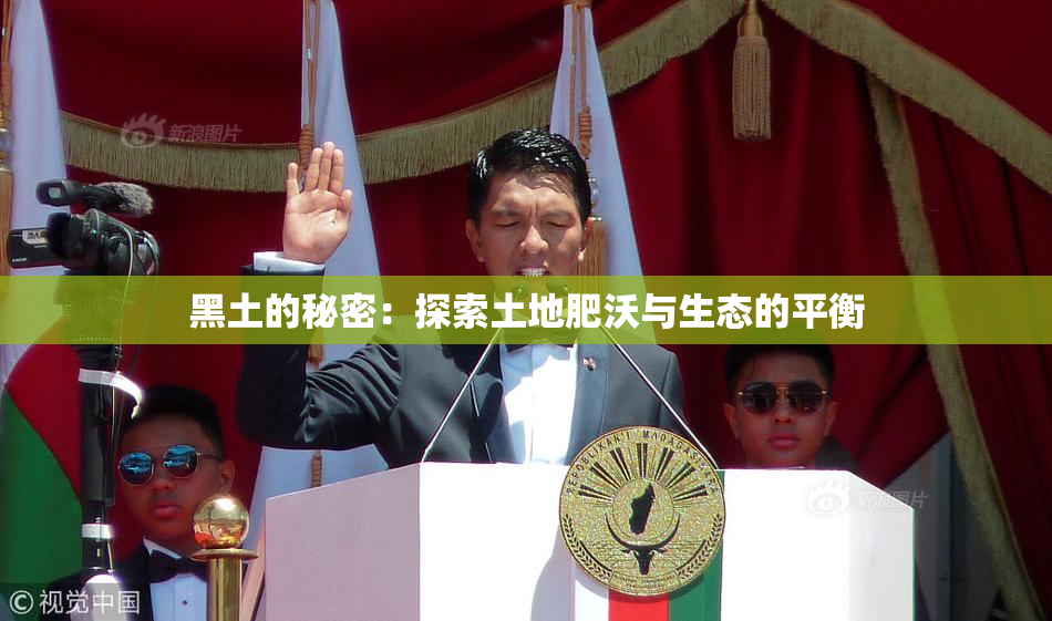 黑土的秘密：探索土地肥沃与生态的平衡