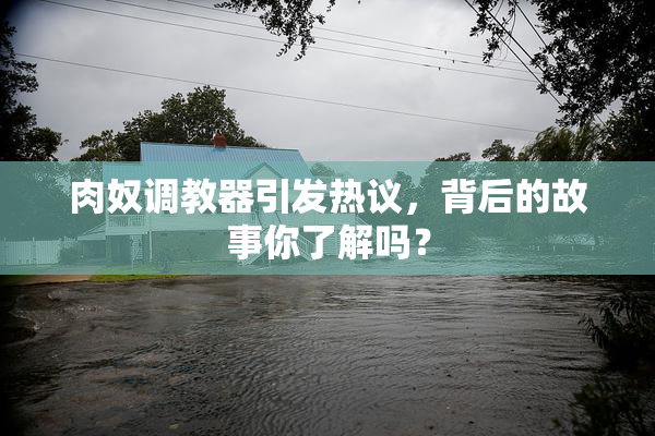 肉奴调教器引发热议，背后的故事你了解吗？